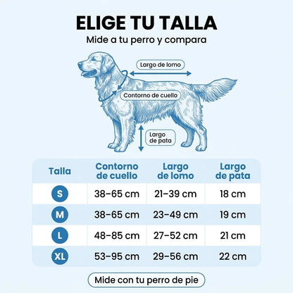 Huellina🐾 | Paseos sin barro, baños innecesarios