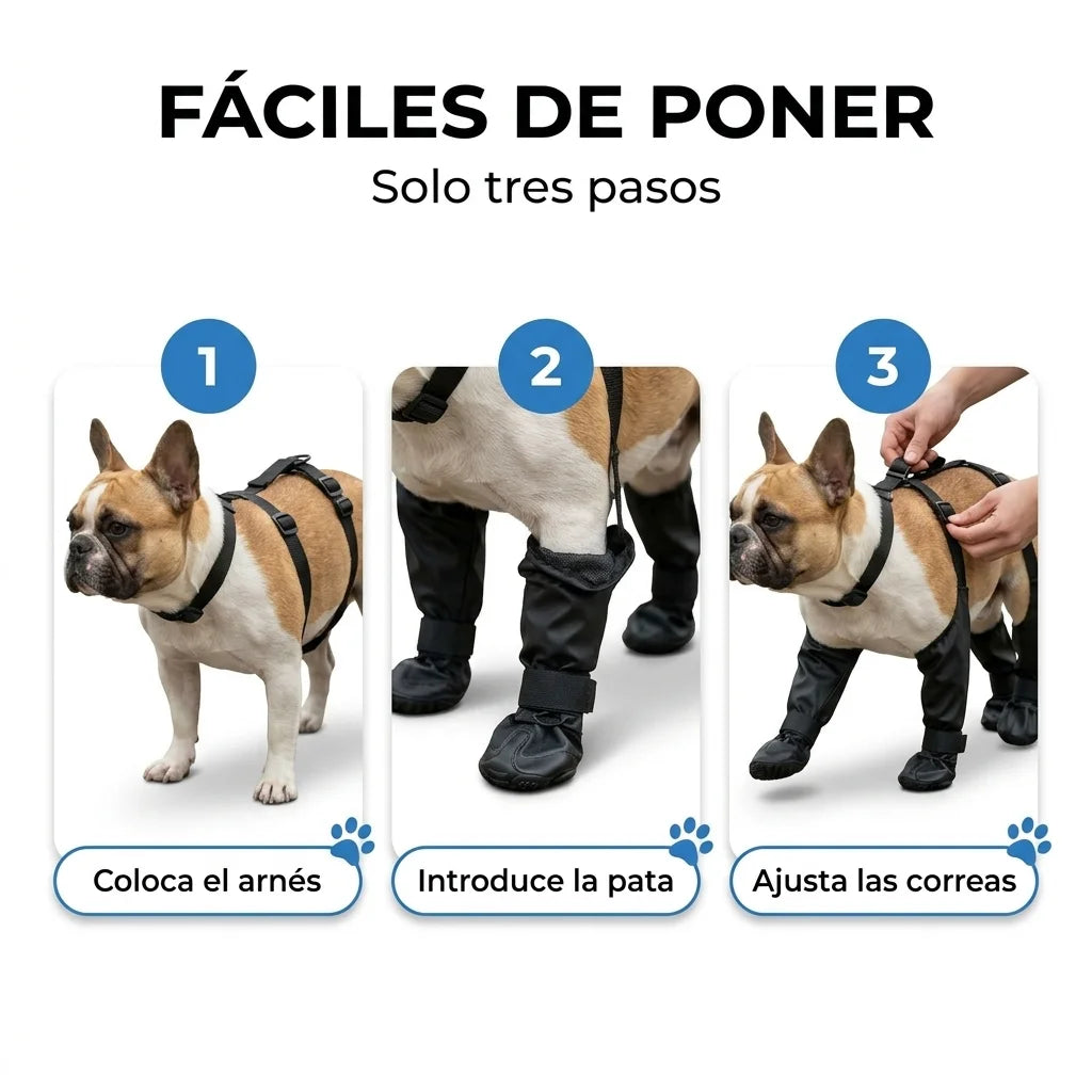 Huellina🐾 | Paseos sin barro, baños innecesarios