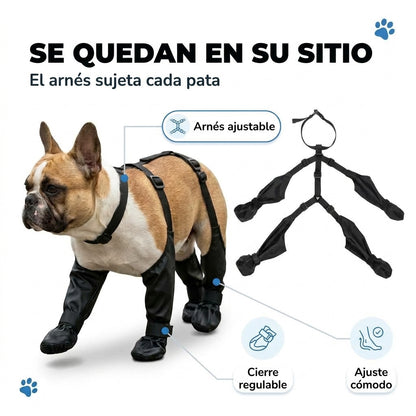 Huellina🐾 | Paseos sin barro, baños innecesarios
